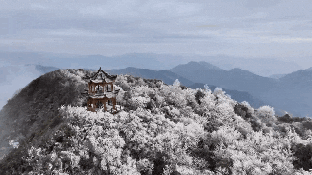 一言难尽!广西将开启阴雨天+回南天,柳州的天气→ 一言难尽!广西将开启阴雨天+回南天,柳州的天气→