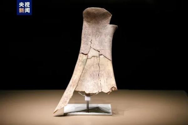 今天正式开放！近3000件套文物首次亮相