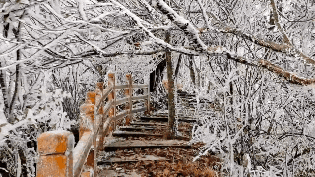 一言难尽!广西将开启阴雨天+回南天,柳州的天气→ 一言难尽!广西将开启阴雨天+回南天,柳州的天气→