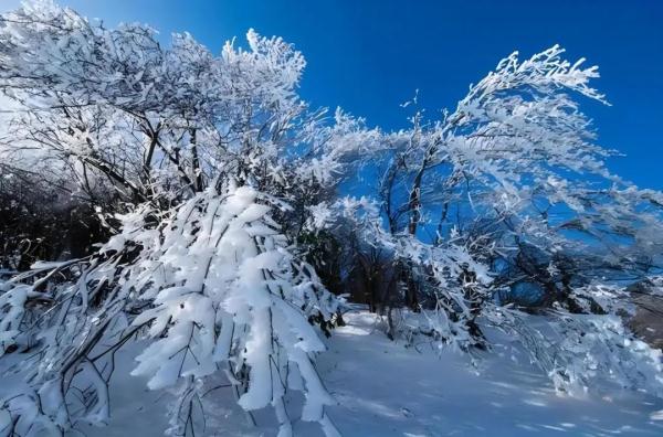 元宵夜,来杭小情侣滑向一高山峭壁…… 元宵夜,来杭小情侣滑向一高山峭壁……