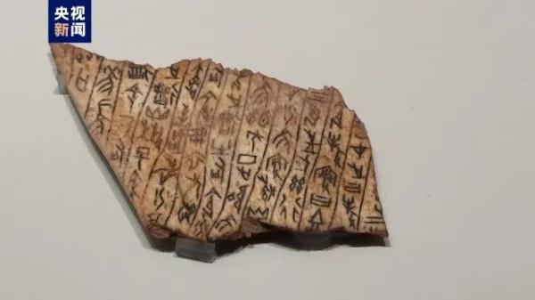 今天正式开放！近3000件套文物首次亮相