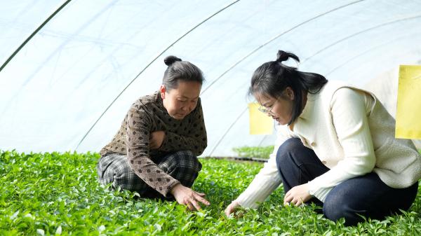 守好“菜篮子” 装满“大丰收” 守好“菜篮子” 装满“大丰收”