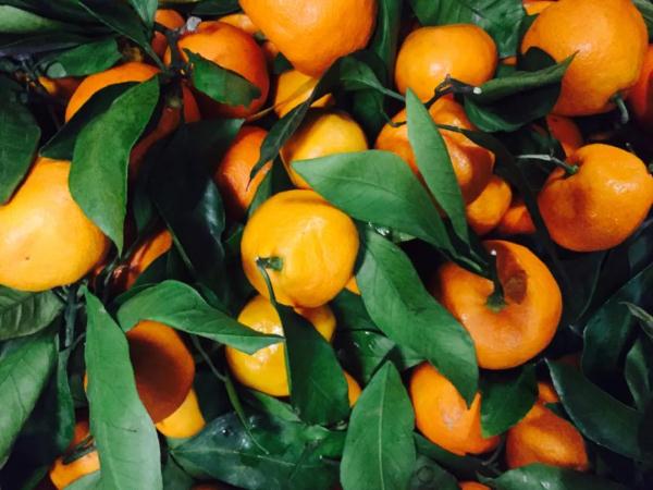 除了海鲜啤酒,这些蔬菜水果也要少吃!痛风患者一定要注意! 除了海鲜啤酒,这些蔬菜水果也要少吃!痛风患者一定要注意!