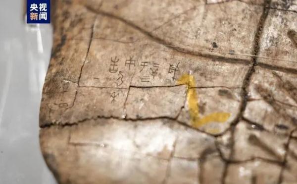 今天正式开放！近3000件套文物首次亮相