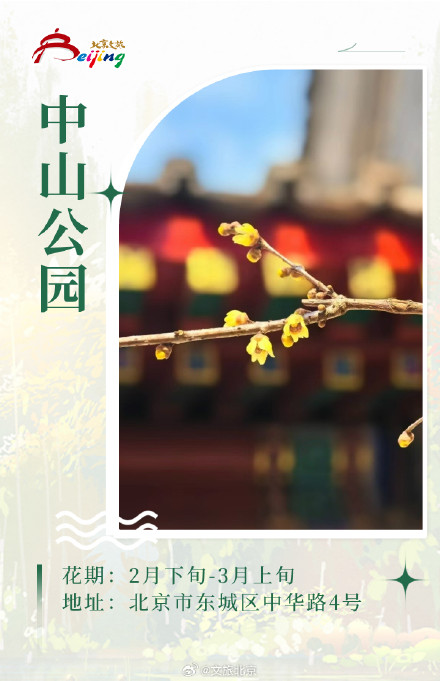 这些花你分清“梅” 磬口蜡梅来这看就对了