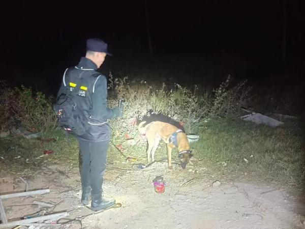 广东湛江4姐弟失踪，凌晨被发现在芦苇丛睡觉