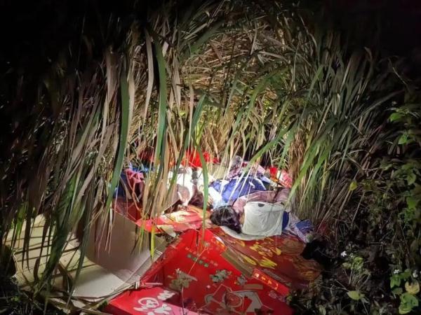 广东湛江4姐弟失踪，凌晨被发现在芦苇丛睡觉