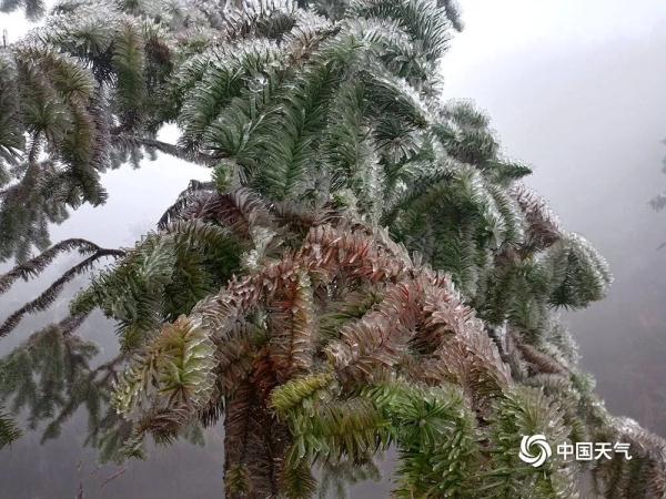一言难尽!广西将开启阴雨天+回南天,柳州的天气→ 一言难尽!广西将开启阴雨天+回南天,柳州的天气→