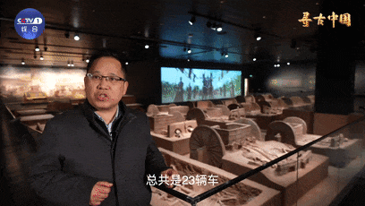 正式开馆！殷墟3000多年人力车首次公开亮相！