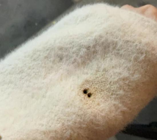 The woman saw that the skin of the iron flower was burned, and the staff: the safety scope was expanded by 200%.