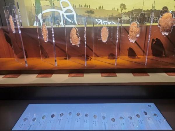 用AI“破译”甲骨文？来殷墟博物馆新馆体验