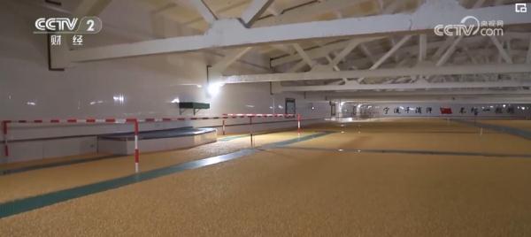 我国首次实现政策性粮食监管信息化全覆盖 夯实粮食安全基础 我国首次实现政策性粮食监管信息化全覆盖 夯实粮食安全基础