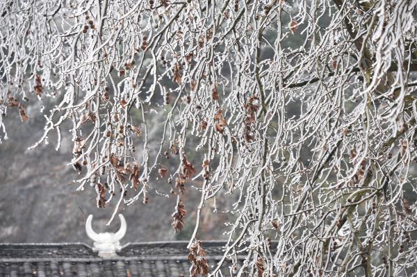 雾凇冰挂扮美青曼苗寨 雾凇冰挂扮美青曼苗寨