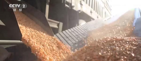 我国首次实现政策性粮食监管信息化全覆盖 夯实粮食安全基础 我国首次实现政策性粮食监管信息化全覆盖 夯实粮食安全基础