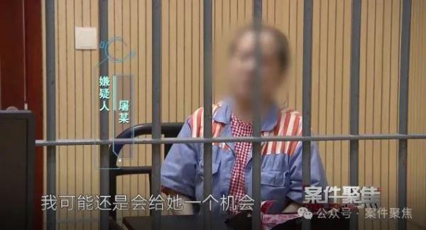“干女儿”诈骗上海老夫妻两套房+200万元，逃往海外！刚立案人就死了？