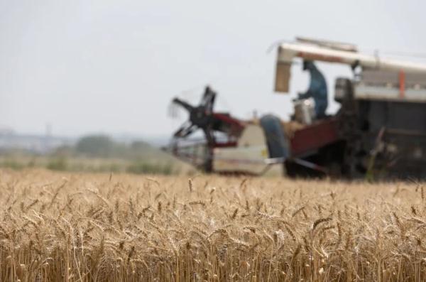 一测就破纪录？试验田测产怎能弄虚作假！