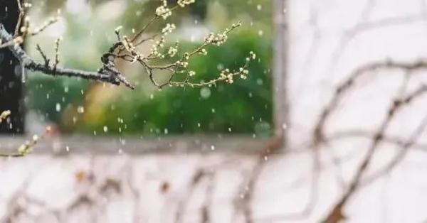 @上海人，今天看见阳光了吗？明天起，雨水要来了……