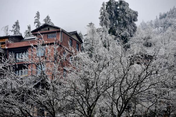 雾凇冰挂扮美青曼苗寨 雾凇冰挂扮美青曼苗寨