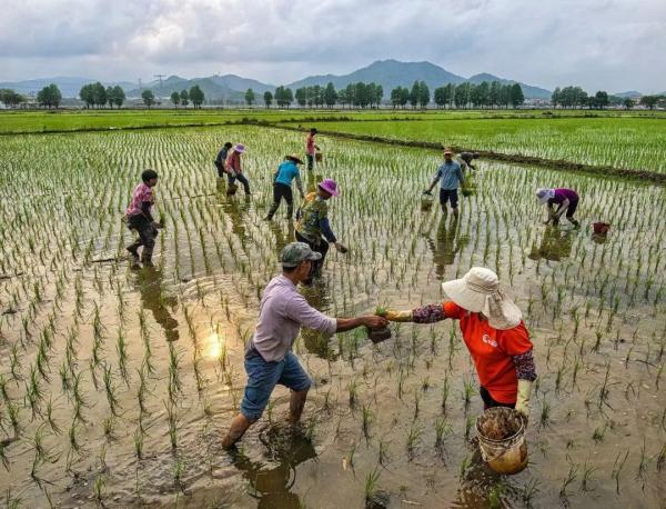 全国春耕春播气象服务全面启动