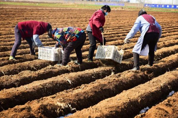 全国春耕春播气象服务全面启动