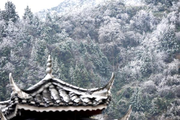 雾凇冰挂扮美青曼苗寨 雾凇冰挂扮美青曼苗寨