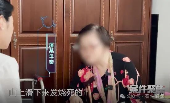“干女儿”诈骗上海老夫妻两套房+200万元，逃往海外！刚立案人就死了？