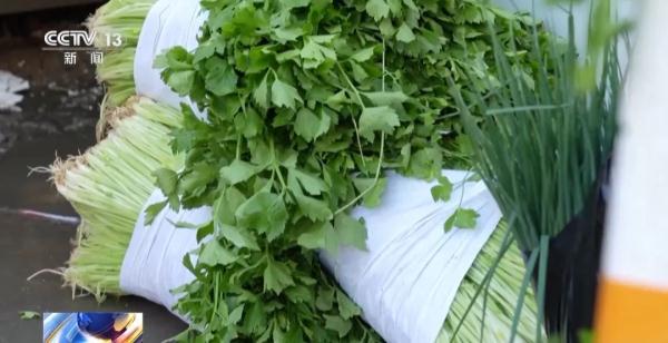 转卖芹菜赚14元被罚10万！法院这样判了
