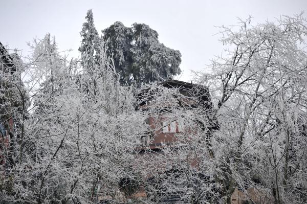 雾凇冰挂扮美青曼苗寨 雾凇冰挂扮美青曼苗寨