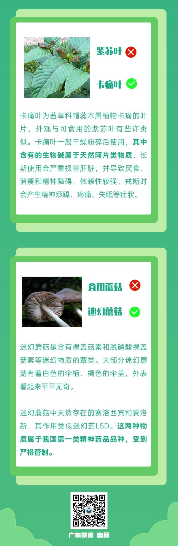 夫妻同时中毒 最新提醒 夫妻同时中毒 最新提醒