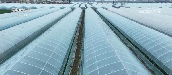 大数据、物联网、传感器 数智化技术推动蔬菜产业高质量发展 大数据、物联网、传感器 数智化技术推动蔬菜产业高质量发展