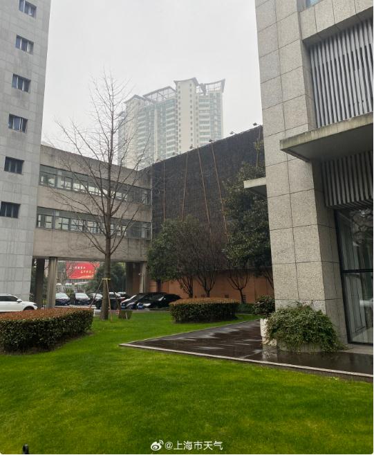 注意：上海明天还有雨！2月雨水是常年同期2倍，下周直冲16℃，有雷雨？