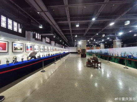 2000盆兰花亮相重庆园博园