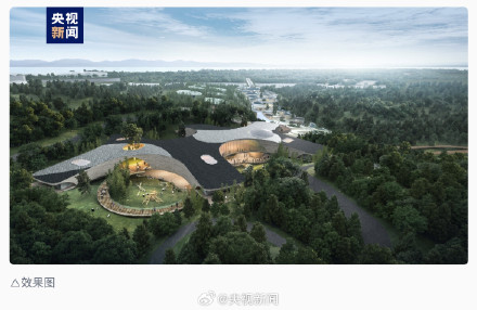 首批40只!大熊猫北京基地明年内开园 首批40只!大熊猫北京基地明年内开园