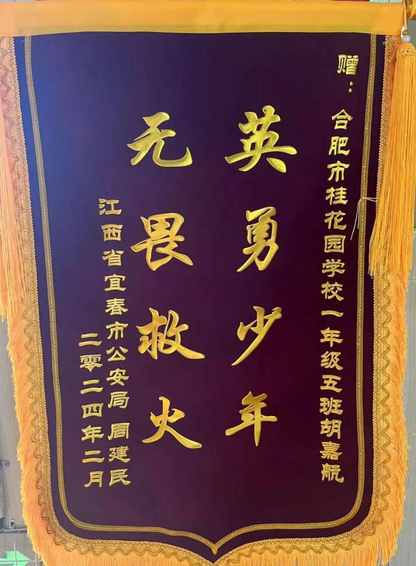 跨省表扬！合肥史潇阳、胡嘉航同学真棒！