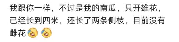 养不出母鱼就毕不了业的985研究生