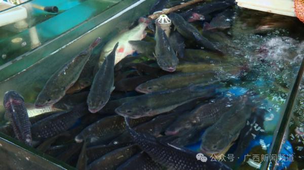 为期4个月！从3月1日起，在南宁禁止做这件事