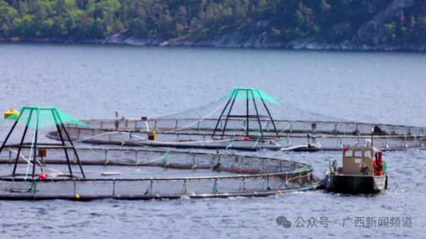 为期4个月！从3月1日起，在南宁禁止做这件事