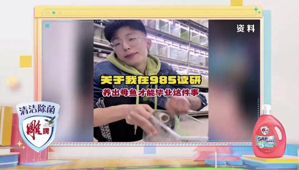 养不出母鱼就毕不了业的985研究生