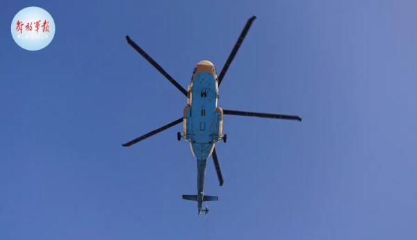 战鹰列阵，铁翼飞旋！直击多型多架直升机飞行训练
