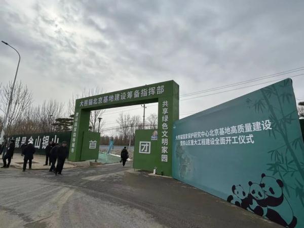 顶流来了!50只大熊猫将来北京 顶流来了!50只大熊猫将来北京