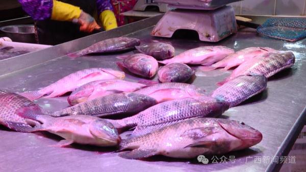 为期4个月！从3月1日起，在南宁禁止做这件事