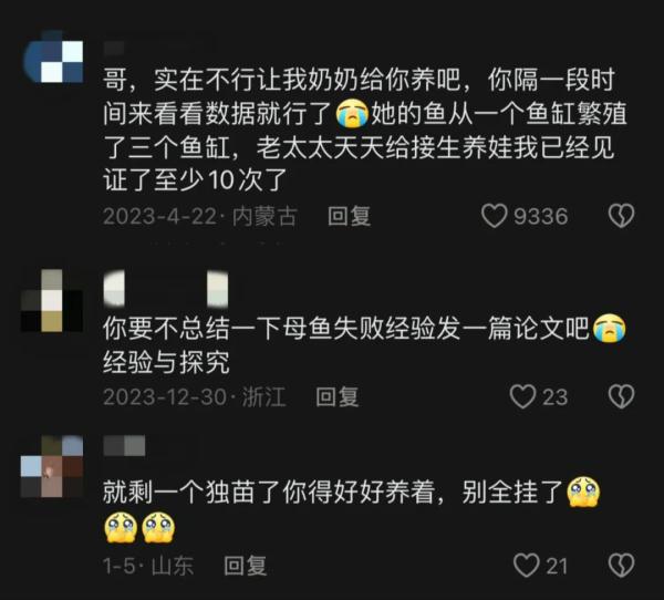 养不出母鱼就毕不了业的985研究生