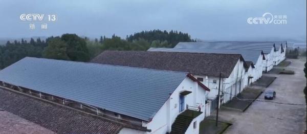 向科技要安全储粮！“智能粮食管家”守卫“中国饭碗”