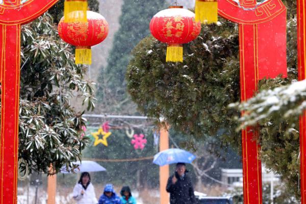 诗意中国丨白雪却嫌春色晚，故穿庭树作飞花