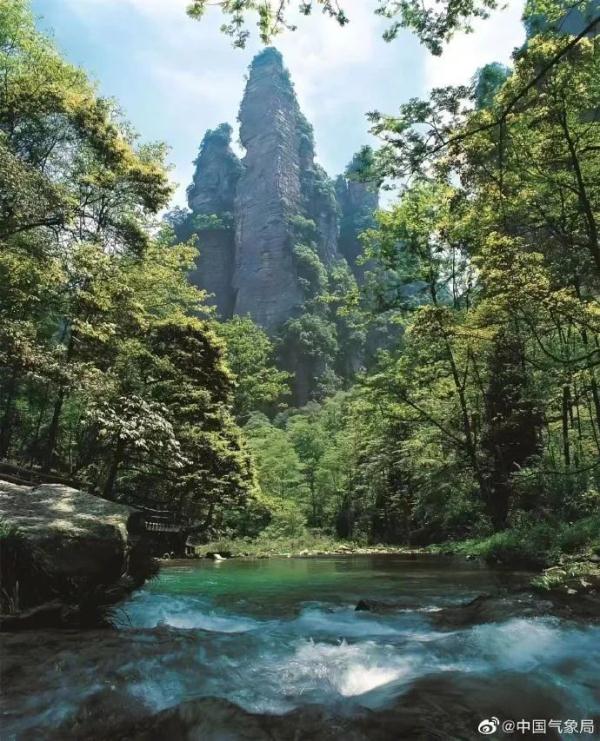 韩国游客暴增！湖南张家界，凭什么成为“顶流”？