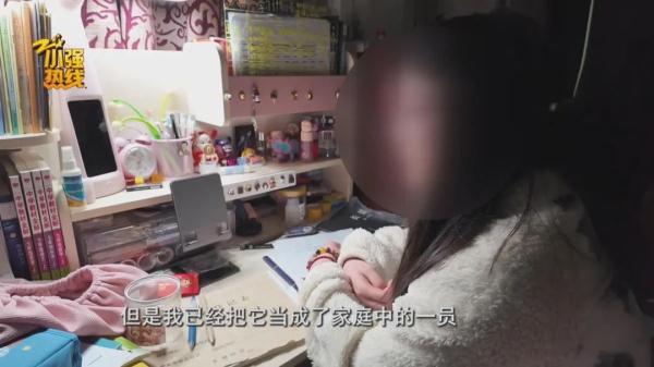 求扩散!今天我们来寻找一条精神抚慰犬,它意义非凡… 求扩散!今天我们来寻找一条精神抚慰犬,它意义非凡…