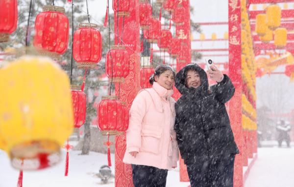 诗意中国丨白雪却嫌春色晚，故穿庭树作飞花