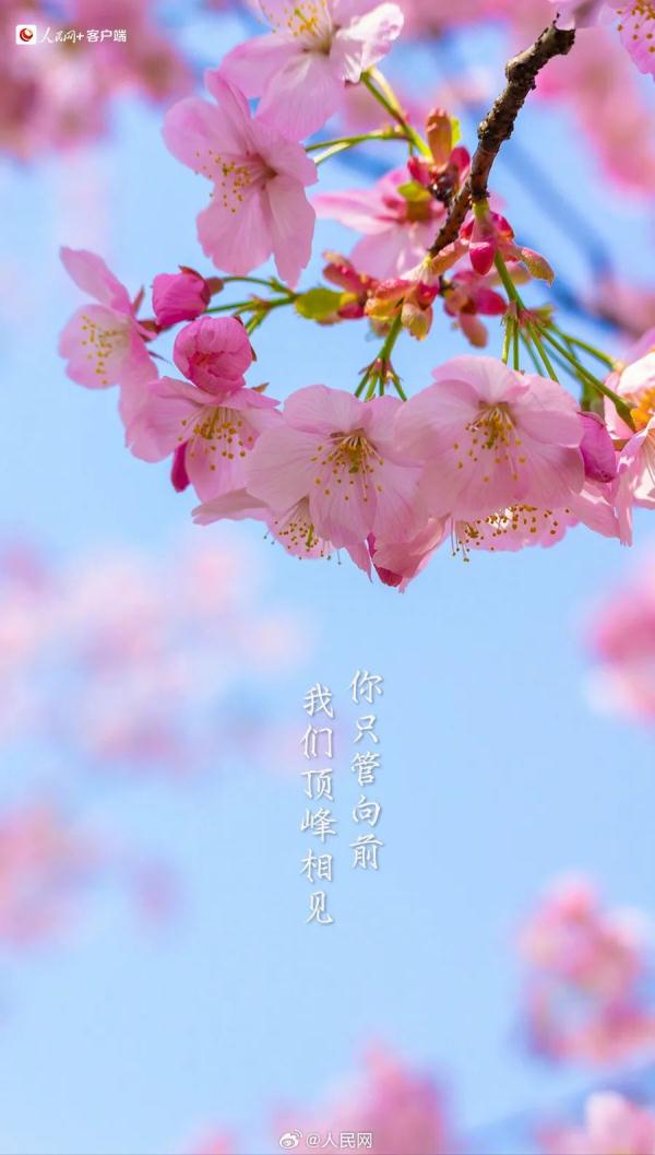 今天有点儿特别,四年一次! 今天有点儿特别,四年一次!