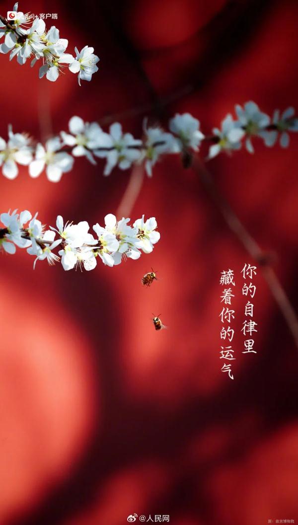 今天有点儿特别,四年一次! 今天有点儿特别,四年一次!