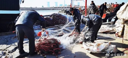 2024天津首网皮皮虾要来了